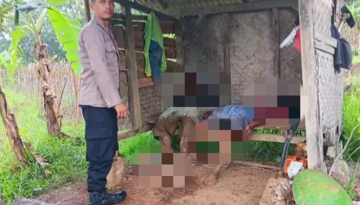 SUMEDANG: 2 Orang di Panyindangan Tewas Tersambar Petir
