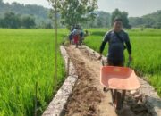 SUMEDANG: JUT di Blok Bobos Ditingkatkan, Dongkrak Ekonomi Masyarakat