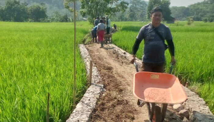 SUMEDANG: JUT di Blok Bobos Ditingkatkan, Dongkrak Ekonomi Masyarakat