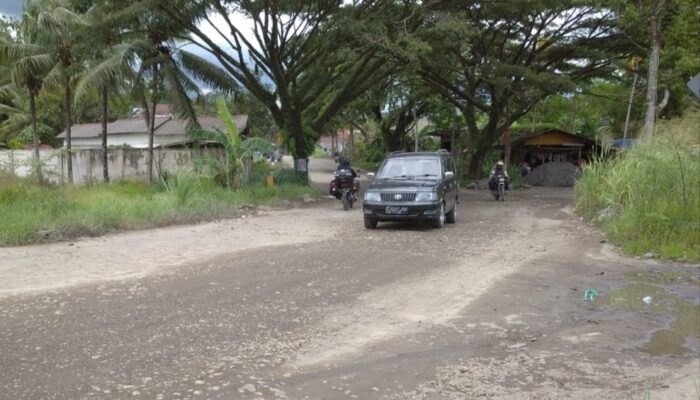 Dari Perempatan Cipasung hingga Sukaratu, Kondisi Jalan Bikin Khawatir Warga
