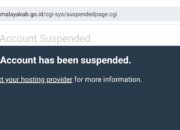 Situs Informasi Pemkab Tasikmalaya Disuspend