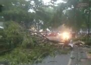 Pohon Timpa Becak di Dadaha, RSUD Kota Tasik Sempat Terendam