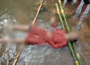 Mayat Seorang Nenek Mengambang di Sungai