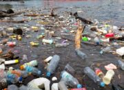 Dipertanyakan, Tanggung Jawab Produsen Galon Sekali Pakai