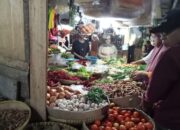 Harga Tomat Apel Ngegas, Sempat Nyaris Saingi Telor Ayam