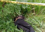 Penemuan Mayat dengan Wajah Berlumur Darah di Semak-Semak