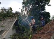 Angin Kencang Membuat Tegang