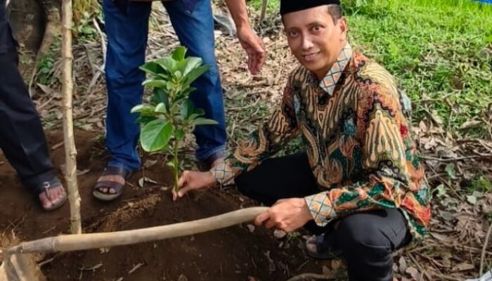 PD Muhammadiyah Kabupaten Tasik Tanam Bibit Alpukat, di Atas Tanah Wakaf Seluas 1 Hektare
