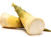 11 Keistimewaan Rebung, Diantaranya Mengontrol Kolesterol