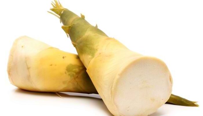 11 Keistimewaan Rebung, Diantaranya Mengontrol Kolesterol