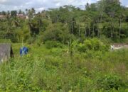 Kata Dewan: Pemerintah Harus Rawat Taman Wisata Ciwulan