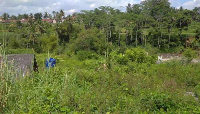 Kata Dewan: Pemerintah Harus Rawat Taman Wisata Ciwulan