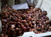 Di Singaparna, Harga Bawang Merah dan Putih Membuat Warga Kaget
