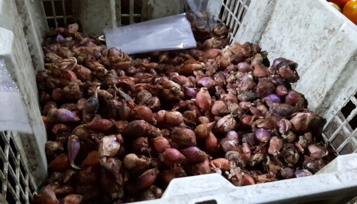 Di Singaparna, Harga Bawang Merah dan Putih Membuat Warga Kaget