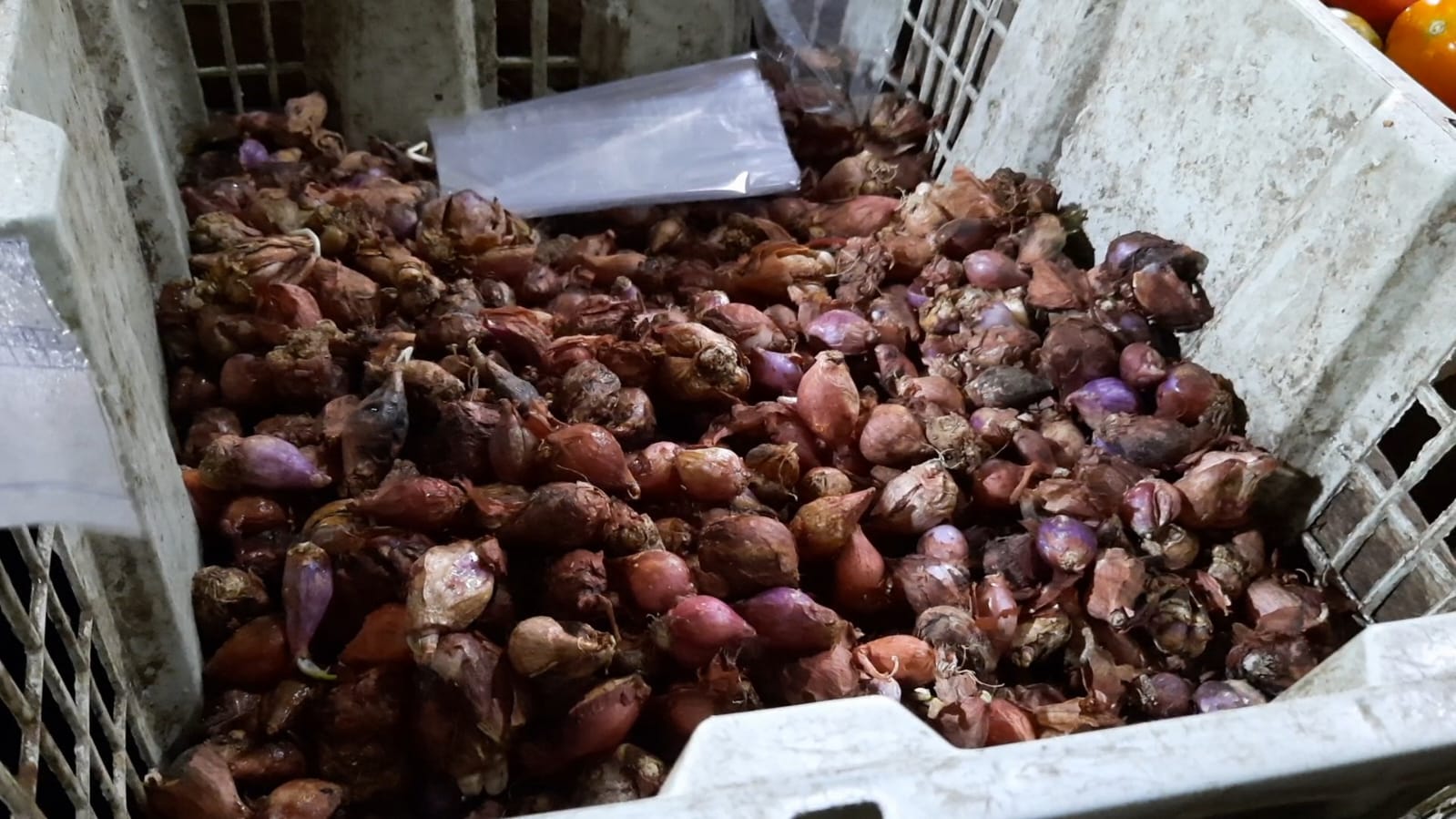 Harga Bawang Merah