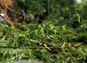 Longsor di Salawu Menutup Jalan, Lalu-lintas Macet Hampir 3 Jam