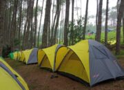 Lokasi Camping yang Bikin Nyaman, Bisa Coba di Cipacet