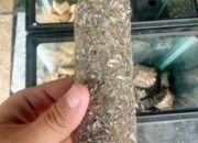 Komunitas Tionghoa Kota Bandung Bikin Mesin Pengolah Sampah Nawasena