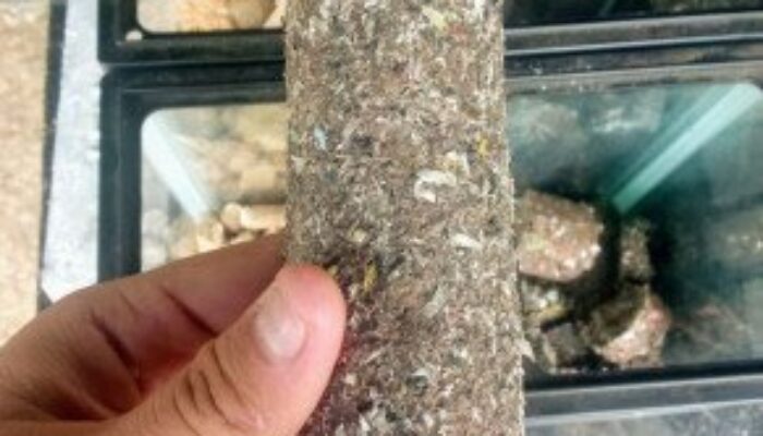 Komunitas Tionghoa Kota Bandung Bikin Mesin Pengolah Sampah Nawasena