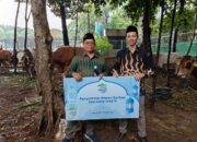 Le Minerale Serahkan Sapi Limosin ke Pengurus Masjid Istiqlal pada Peringatan Hari Raya Iduladha