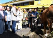 Idul Adha: DPD Golkar Jawa Barat Sembelih 13 Hewan Kurban