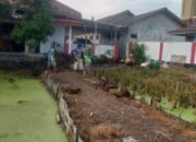 Tips Sukses Budidaya Ikan Ala Pemdes Tegaltaman Indramayu