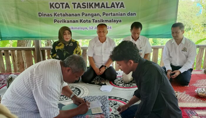 Panen Raya Ayam Rancage di Purbaratu Kota Tasik