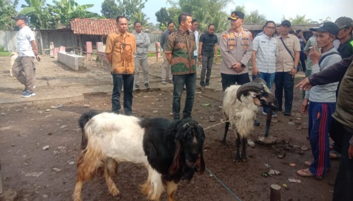 Segini Harga Hewan Kurban di Kabupaten Tasikmalaya Sebelum Iduladha