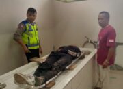 Petugas Kosipa Tewas Tabrakan di Salwu