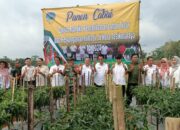 Panen Perdana Cabai Merah Dari Lahan Tidur Pemakaman