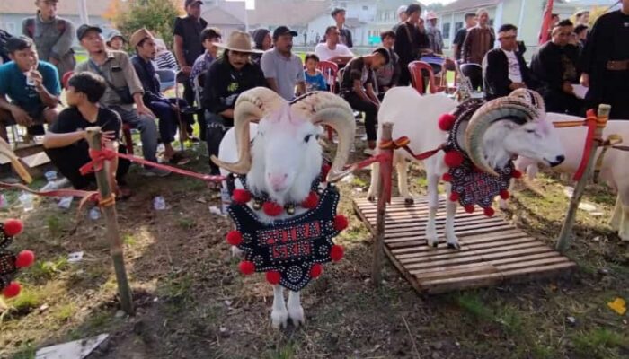 Luna Maya dan Bruno Raih Juara di Pesta Patok