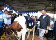 Kontes Ternak di KBB Banyak Pengunjung, Bey Machmudin Optimistis Jawa Barat Mampu Swasembada Pangan