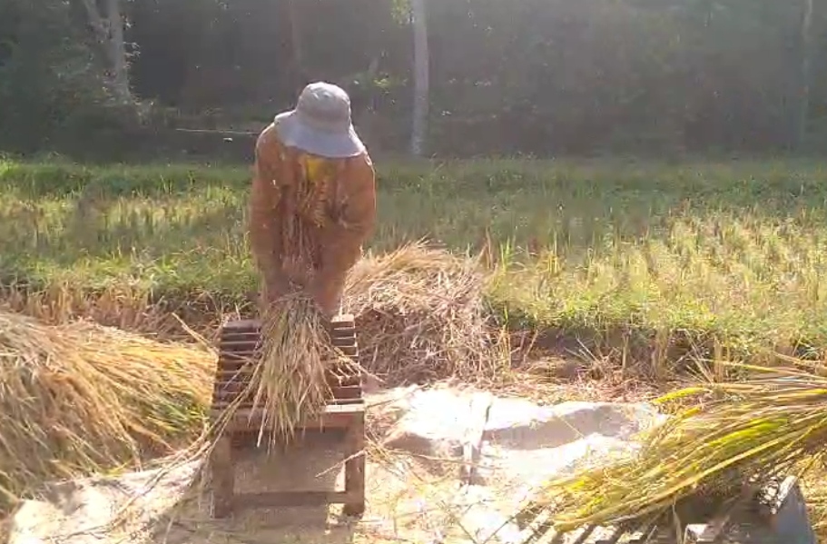 Kerugian Hasil Panen