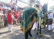 Jalan Protokol Rute Helaran Budaya Dipadati Warga, Saksikan Penampilan Kuda Kosong