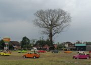 Tur VW Safari ke UMKM Borobudur, Terbitlah Perputaran Ekonomi