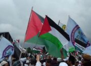 MUI Minta Masyarakat Tak Kendor Boikot Israel, 1 Tahun Genosida Gaza