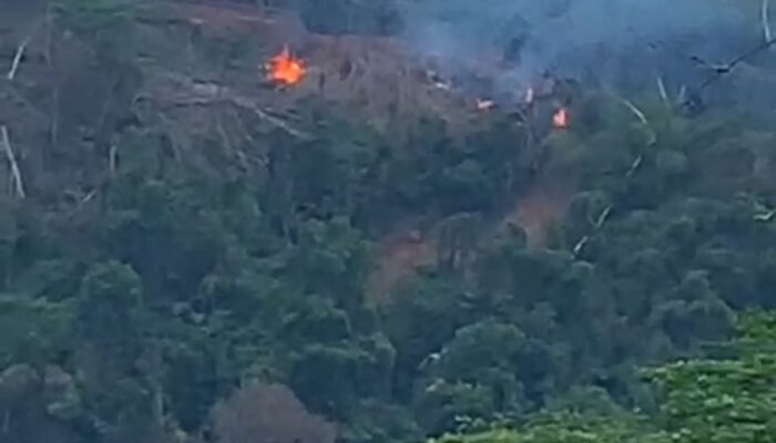Hutan Sekitar Bendungan Leuwikeris Terbakar