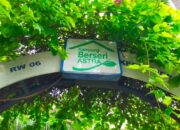 Budidaya Jamur di KBA Melur Kebon Jeruk Siap Dihidupkan Lagi