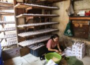 Langkah Nyata BRI Menuju Ekonomi Hijau, Portofolio Pembiayaan Berkelanjutan Capai 764,8 Triliun