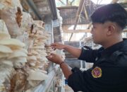 Karang Taruna Tunas Mekar Budidayakan Jamur Tiram