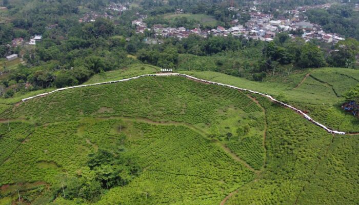 Kain Tenun Bulu Motif Turih Wajit Masuk Rekor Muri di Taraju