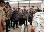 Stok Beras Aman Hingga Februari 2025