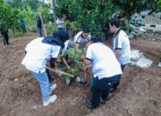 Sinergi Pemkot dan Perguruan Tinggi Hijaukan Kawasan Bandung Utara