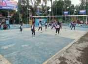 Karang Taruna Desa Wanajaya Gelar Turnamen Bola Voli, Kades: Upaya Menggeliatkan Potensi Olah Raga