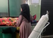 Disengat Lebah, 7 Petani Warga Sukasari Terluka 