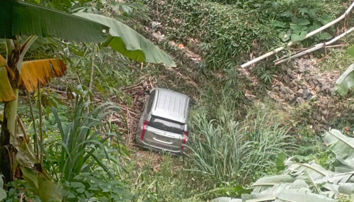 PAJERO Masuk Jurang di Tanjungsari, Alhamdulillah Bocah Selamat