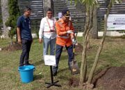 KAI Daerah Operasi 2 Bandung Lakukan Penanaman Pohon