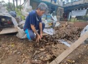KSM Tamansari Tuntas Mampu Olah 800 Kg per Hari Sampah dengan Maggot