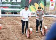 Diluncurkan, Gerakan Penanaman Jagung 1 Juta Hektare di Subang