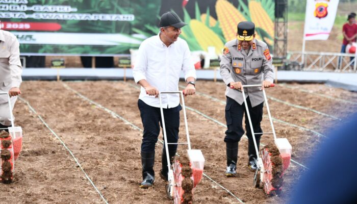 Diluncurkan, Gerakan Penanaman Jagung 1 Juta Hektare di Subang